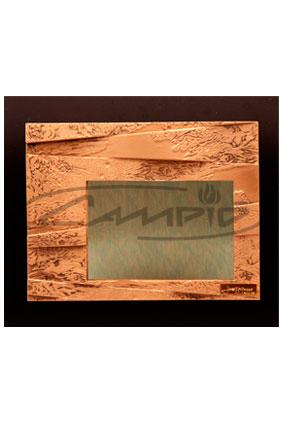 PLACAS HOMENAGEM W0040G265