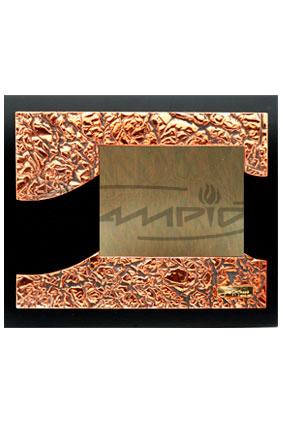 PLACAS HOMENAGEM W0040G274