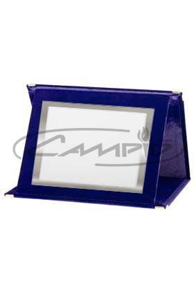 PLACAS HOMENAGEM W1716ST100