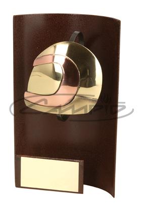 TROFÉUS DESPORTIVOS W116309