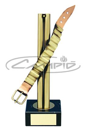 TROFÉUS DESPORTIVOS W116937