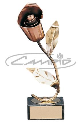 TROFÉUS DESPORTIVOS W1161491