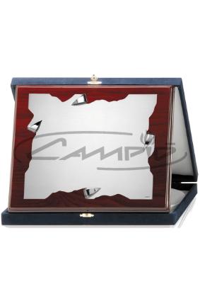 PLACAS HOMENAGEM W1123FS384