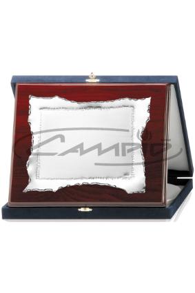 PLACAS HOMENAGEM W1123FS388