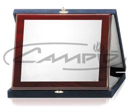 PLACAS HOMENAGEM W1123FS386