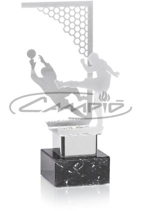 TROFÉUS DESPORTIVOS W1123FS171