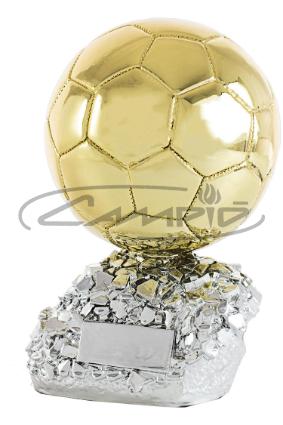 TROFÉUS DESPORTIVOS W0014T304