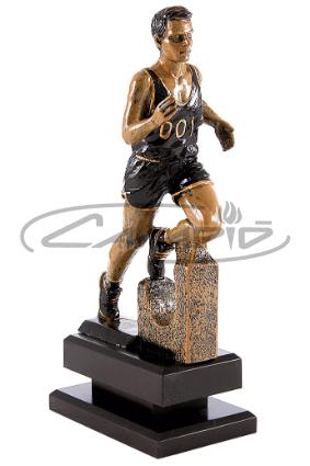 TROFÉUS DESPORTIVOS W0014T389