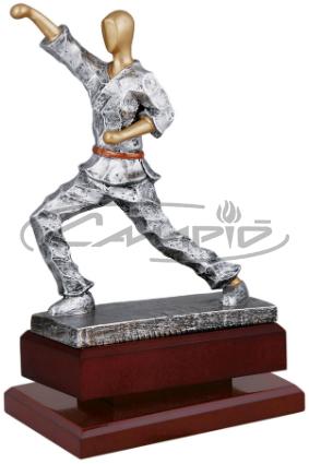 TROFÉUS DESPORTIVOS W0014T443