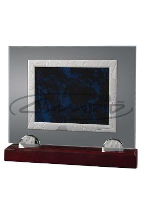 PLACAS HOMENAGEM W0014PL114