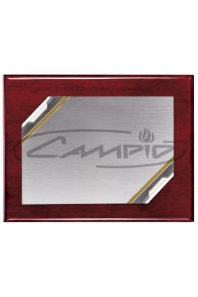 PLACAS HOMENAGEM W0014PL121