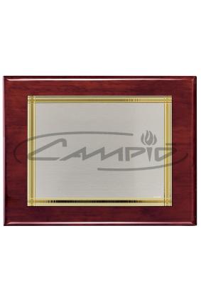 PLACAS HOMENAGEM W0014PL117
