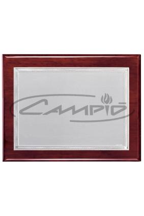 PLACAS HOMENAGEM W0014PL120