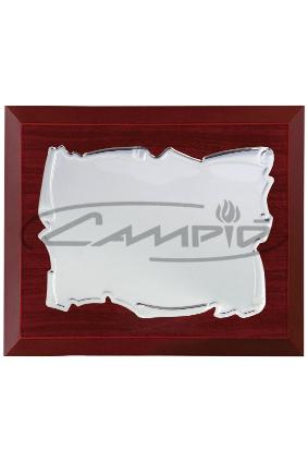 PLACAS HOMENAGEM W0014PL130