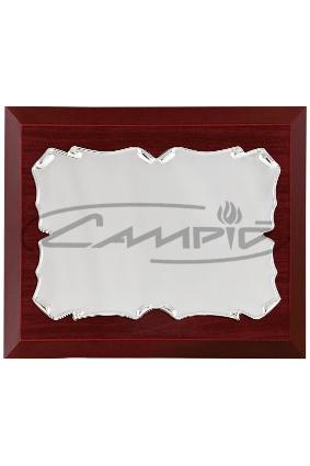 PLACAS HOMENAGEM W0014PL138