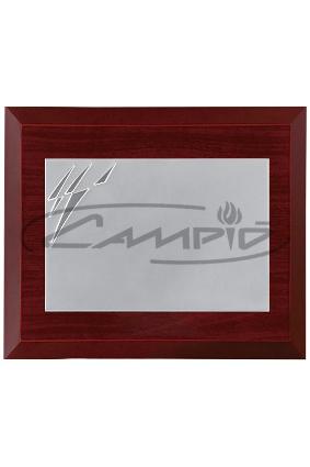 PLACAS HOMENAGEM W0014PL145