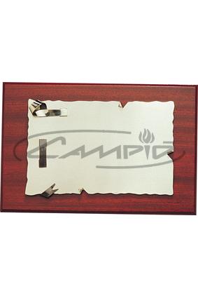 PLACAS HOMENAGEM W116P100