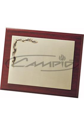 PLACAS HOMENAGEM W116P101