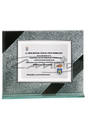 PLACAS HOMENAGEM W1125FP103