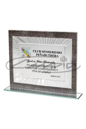 PLACAS HOMENAGEM W1125FP108
