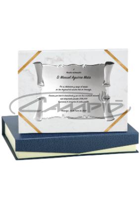 PLACAS HOMENAGEM W1125FP112