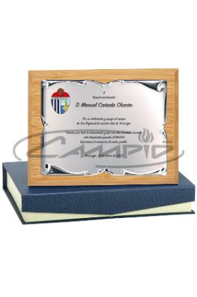 PLACAS HOMENAGEM W1125FP114