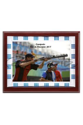 PLACAS HOMENAGEM W1125FP126
