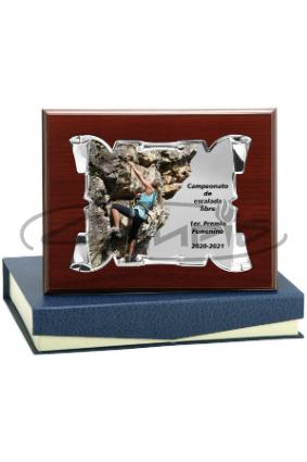 PLACAS HOMENAGEM W1125FP131