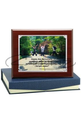 PLACAS HOMENAGEM W1125FP139