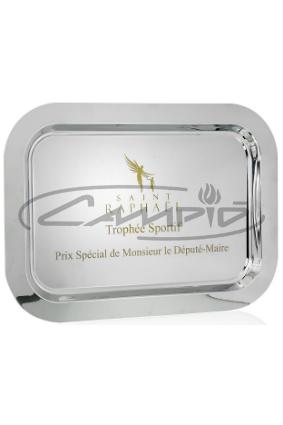 PLACAS HOMENAGEM W1125FP144