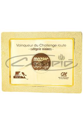 PLACAS HOMENAGEM W1125FP151
