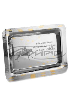 PLACAS HOMENAGEM W1125FP146