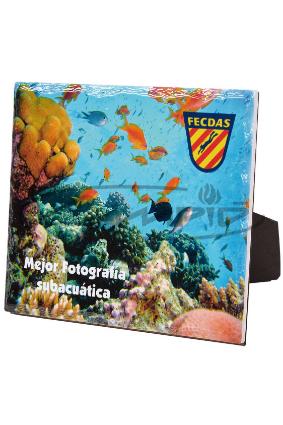 PERSONALIZABLES W1125FPR129