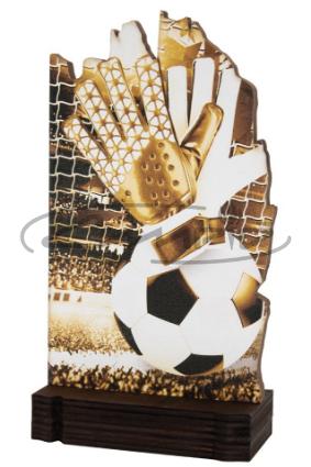 TROFÉUS DESPORTIVOS W1125FT652