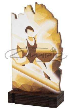 TROFÉUS DESPORTIVOS W1125FT657