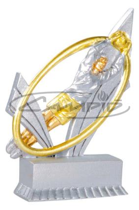 TROFÉUS DESPORTIVOS W1125FT241
