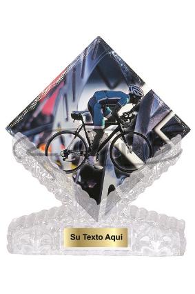 TROFÉUS DESPORTIVOS W1125FT358