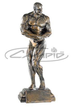 TROFÉUS DESPORTIVOS W1125FT309