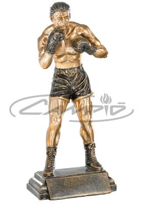TROFÉUS DESPORTIVOS W1125FT286