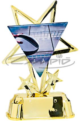 TROFÉUS DESPORTIVOS W1125FT418