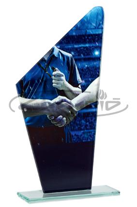 TROFÉUS DESPORTIVOS W1125FT383
