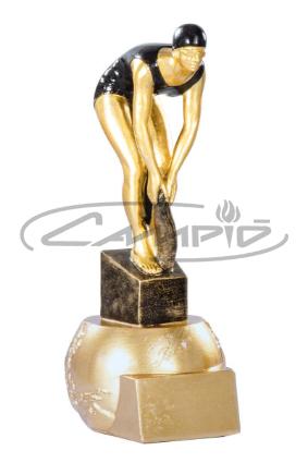 TROFÉUS DESPORTIVOS W1125FT270