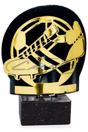 TROFÉUS DESPORTIVOS W1125FT585