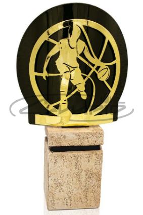 TROFÉUS DESPORTIVOS W1125FT570