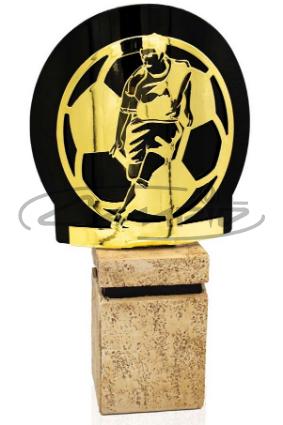 TROFÉUS DESPORTIVOS W1125FT572