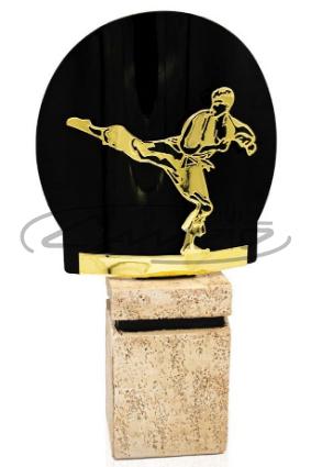 TROFÉUS DESPORTIVOS W1125FT574