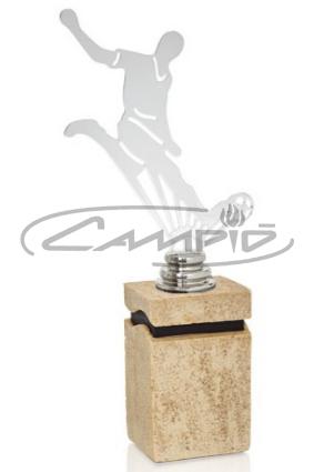 TROFÉUS DESPORTIVOS W1125FT511