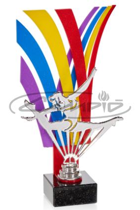 TROFÉUS DESPORTIVOS W1125FT536