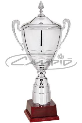 TA&Ccedil;AS W1126FC251