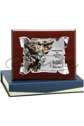 PLACAS HOMENAGEM W1126FP132